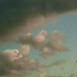 Praise (I Won't Be Quiet)