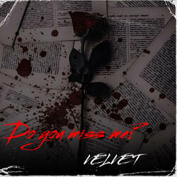 Do you miss me?