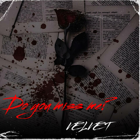 Do you miss me?