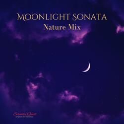 Moonlight Sonata (Ocean Mix)