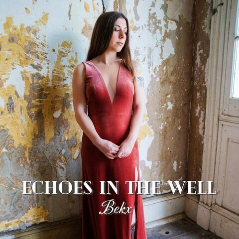 Echoes in the Well