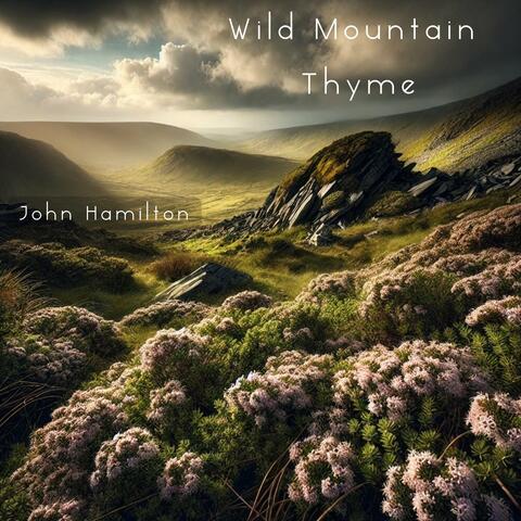 Wild Mountain Thyme