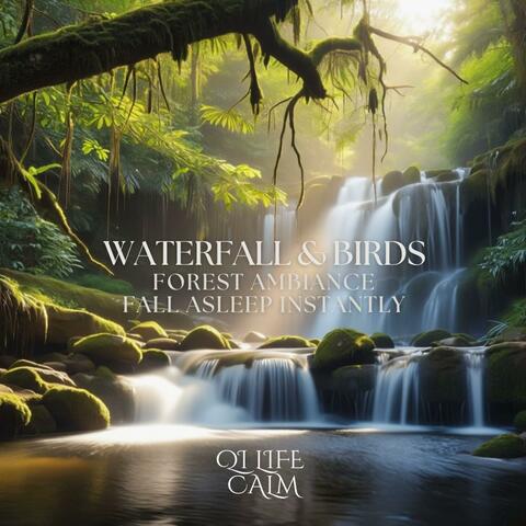 Waterfall & Birds Forest Ambience Fall Asleep Instantly
