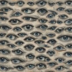 See What I See