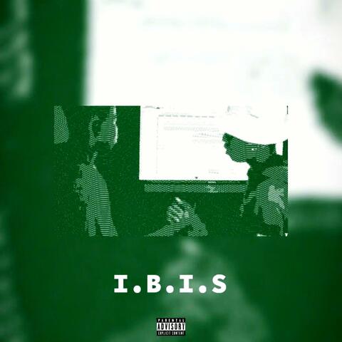 I.B.I.S