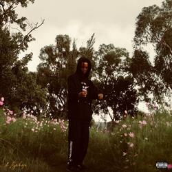 THING IN MY HEART (feat. Mel Aura)