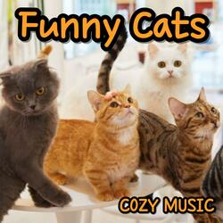 Funny cats