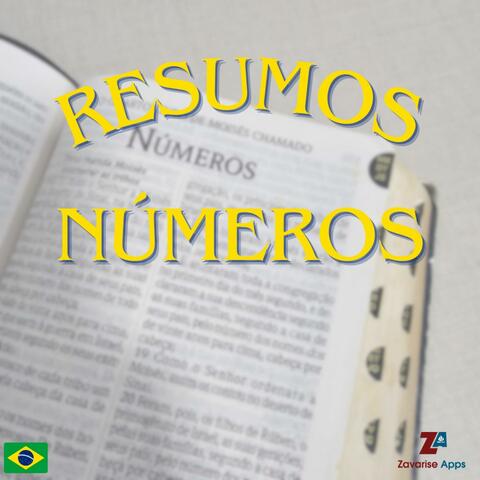 A Bíblia Resumida - Números