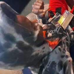 No Comparing (feat. Da Priest)