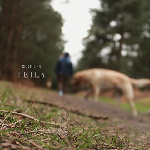 T.E.I.L.Y