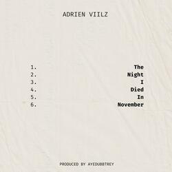 The Night I Died In November