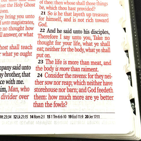 Lukes 12:24