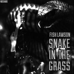 Snake in the grass
