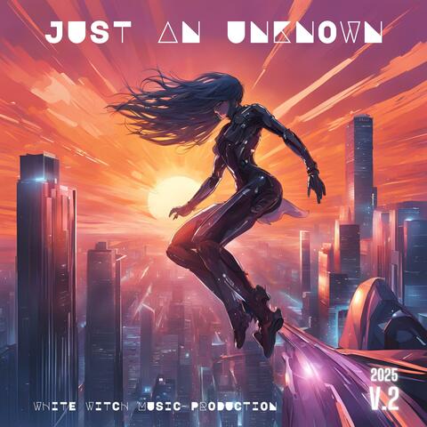 Just An Unknown V.2