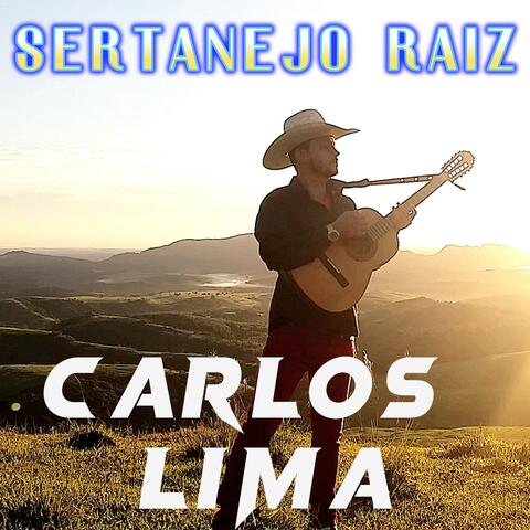 SERTANEJO RAIZ 2