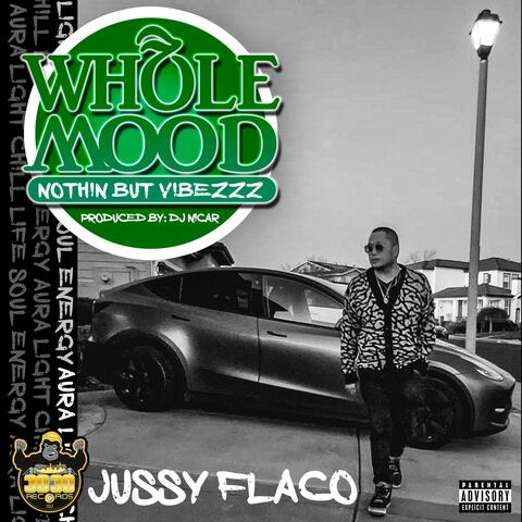 Whole Mood (Nothin but Vibezzz)