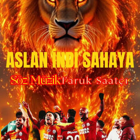 Aslan İndi Sahaya