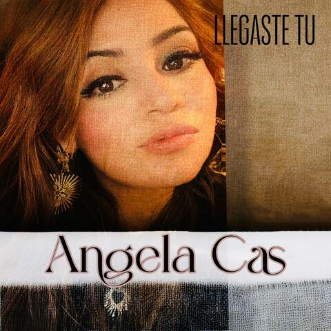 Llegaste Tu