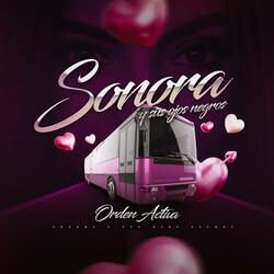 Sonora y sus ojos negros (en vivo)