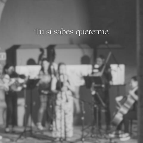 Tú sí sabes quererme (Directo)