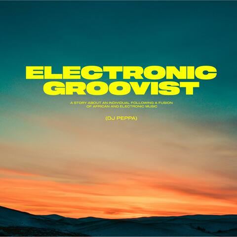 Electronic Groovist