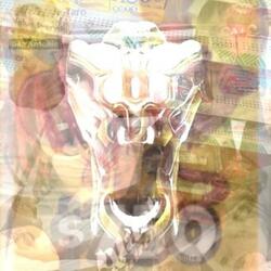 I Just Killed a High