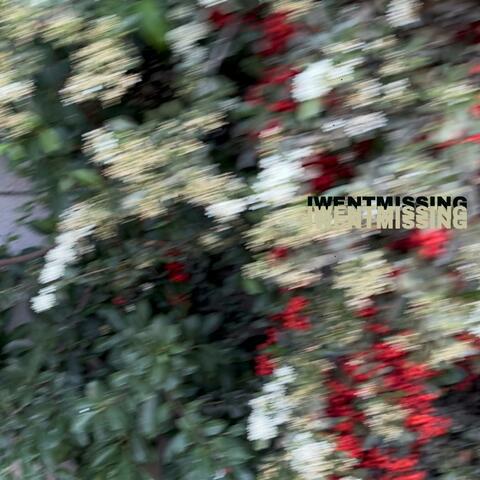 iwentmissing (EP)