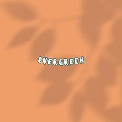 Evergreen