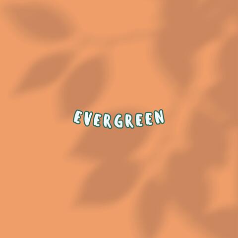 Evergreen