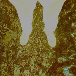 Heartless (feat. Jadhé)