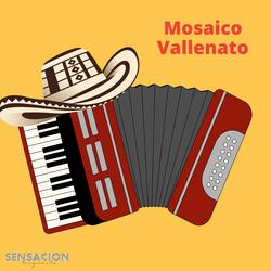 Mosaico Vallenato