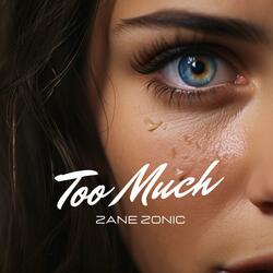 Too Much (Radio Edit)