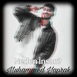 Neden İnsan Sevipde Ayrılır