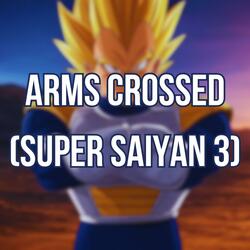 Arms Crossed (Super Saiyan 3)