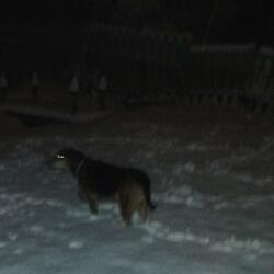 night owl (demo, 2022)