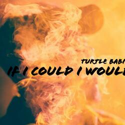 If I Could I Would