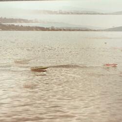 naut 000 (feat. Danae Greenfield)