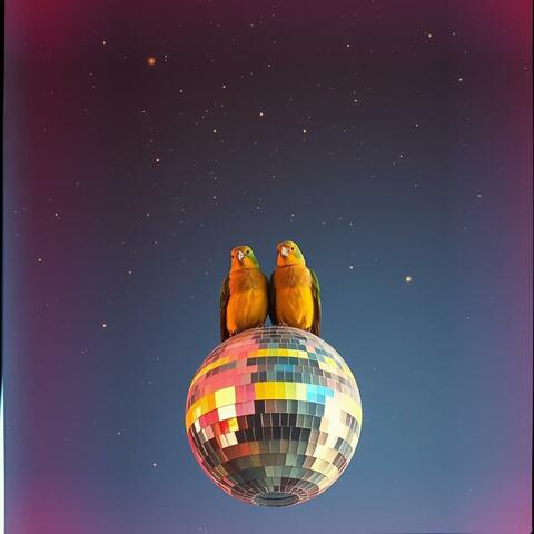 Birds of a Feather 2 (feat. Solarae)