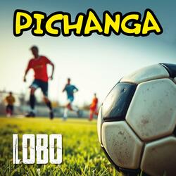 PICHANGA