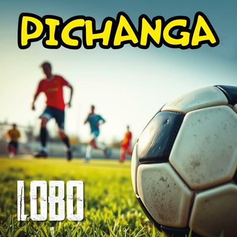 PICHANGA