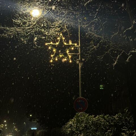 FROZEN