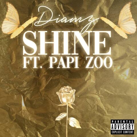 Shine (feat. Papi zoo)