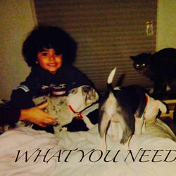 what you need (wyn)