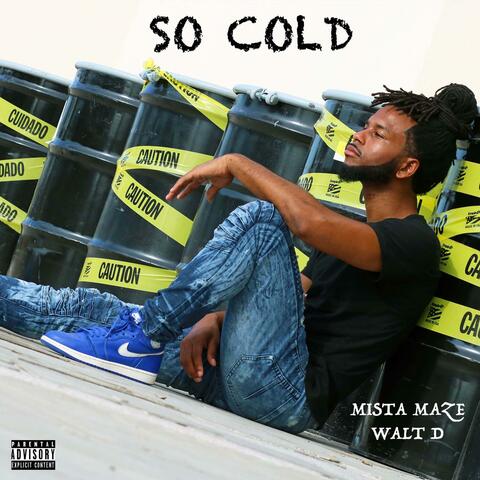 So Cold (feat. Walt D)