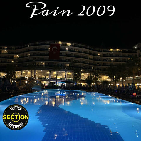 Pain 2009