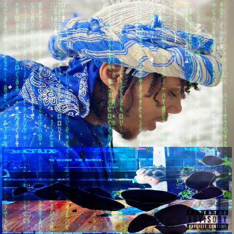 To Decode the Matrix