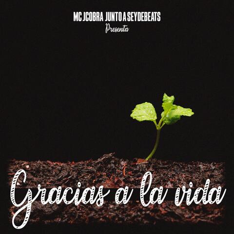 GRACIAS A LA VIDA (feat. Seydebeats)