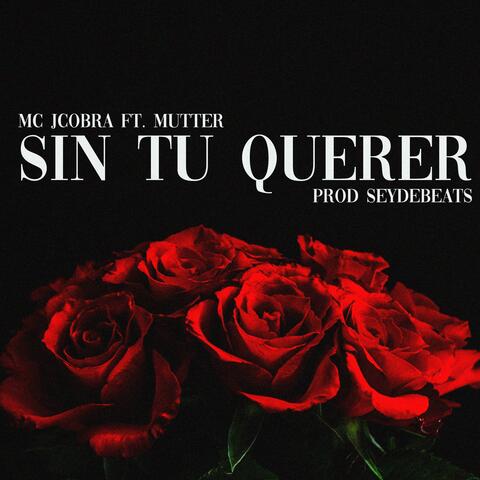 SIN TU QUERER (feat. Mutter & Seydebeats)