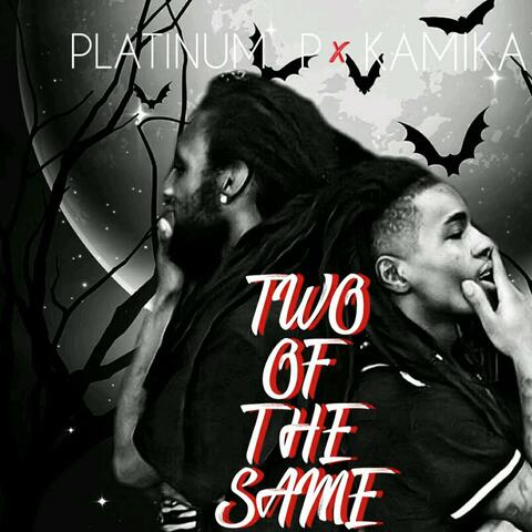 No Matter What (feat. Platinum P & Kenilworth Keith)