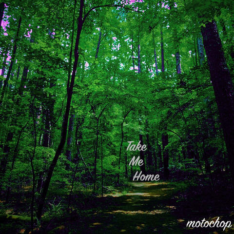 Take Me Home